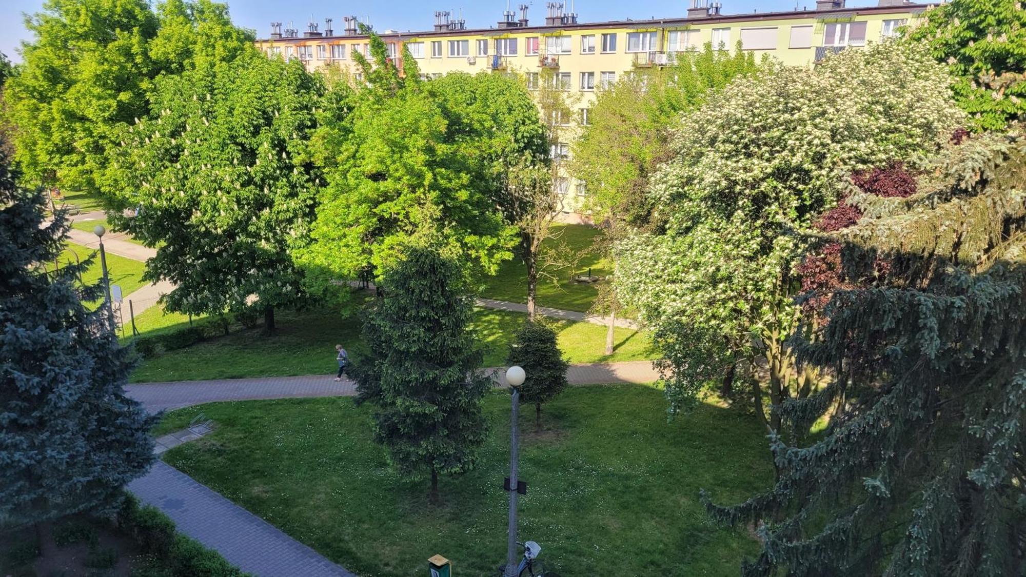 Dams Apartament Oswiecim Ngoại thất bức ảnh